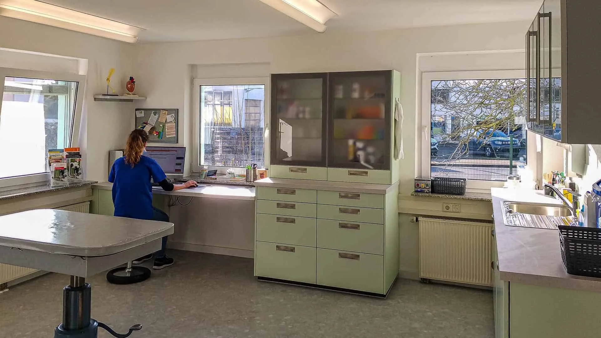 Tierarzt Praxis Füllscheuerweg Behandlungsraum 1