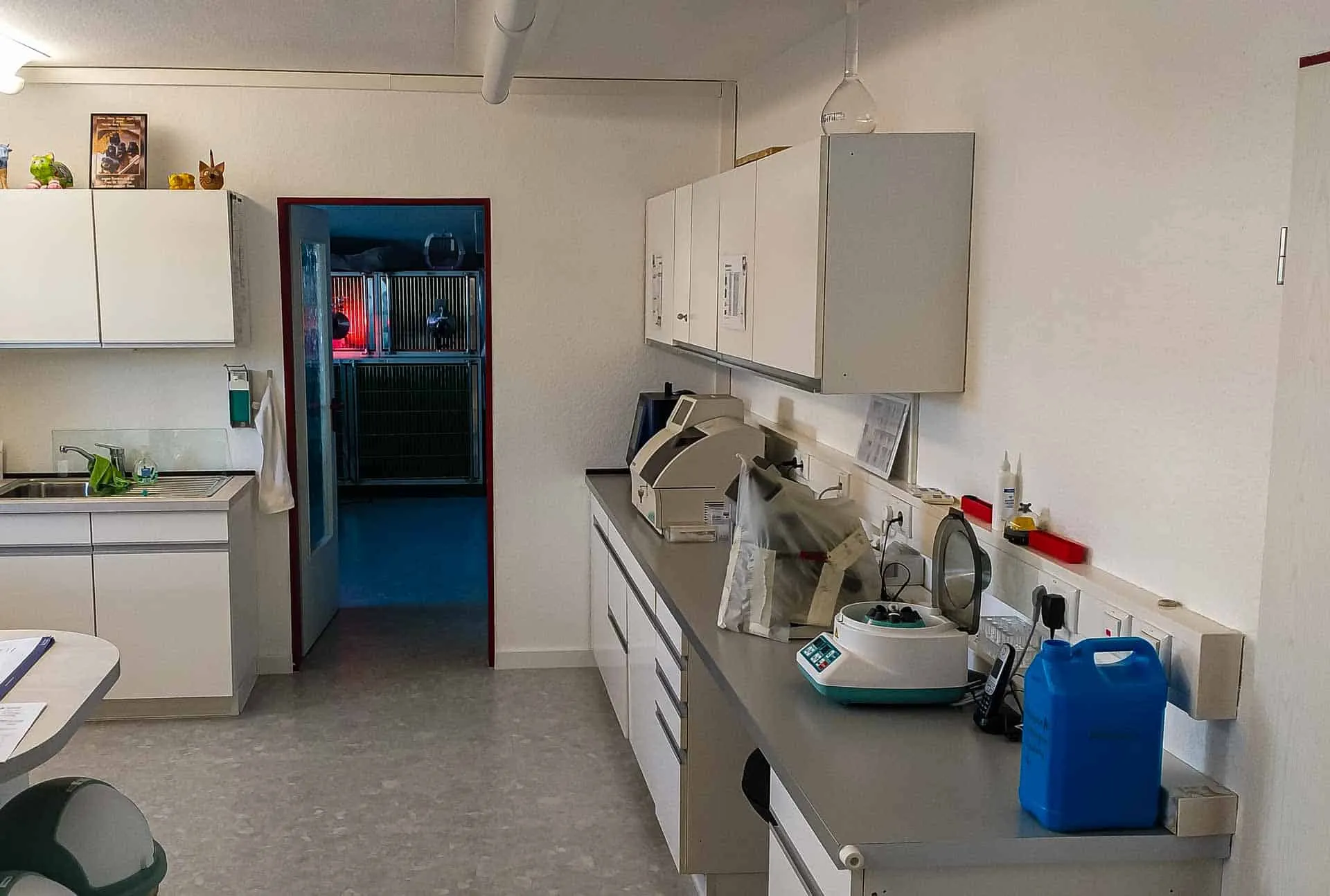 Tierarzt Praxis Füllscheuerweg Labor